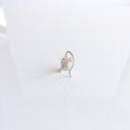 バオバブのシルバーピアスバオバブ