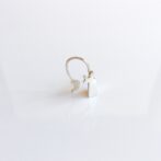 バオバブのシルバーピアスバオバブ