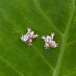 【受注制作】tree flog（ピアス）