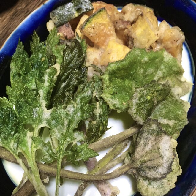 ツワブキの新芽とヨモギと南瓜の天ぷら