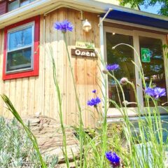 取扱い店舗　うれしいもの屋さんの紹介