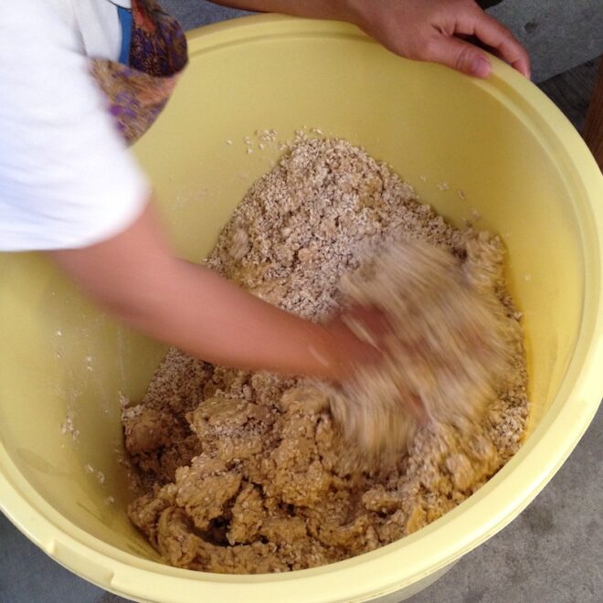 味噌作り過程(潰した大豆と麹を混ぜている所)