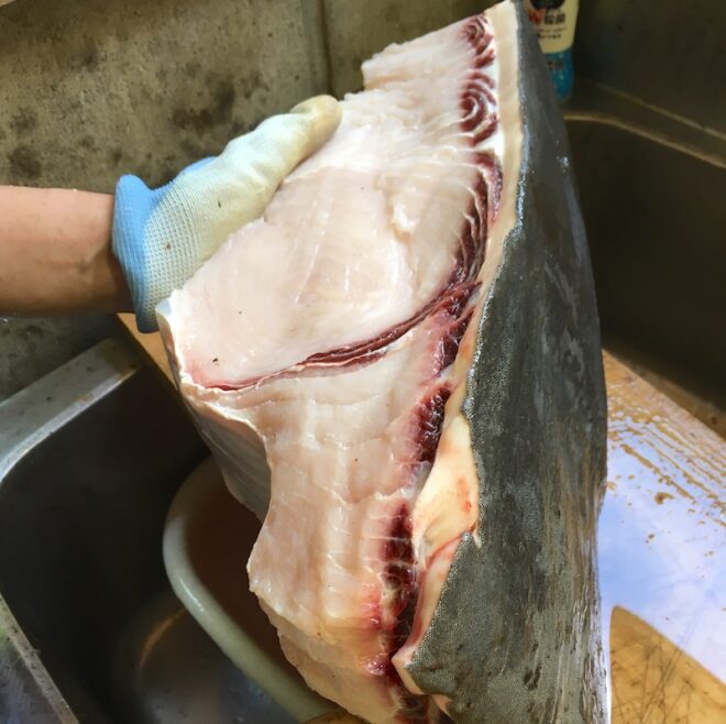 サメの切り身