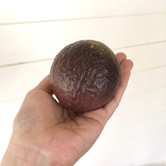追熟して皮にしわが寄ってきたパッションフルーツ