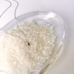 米粒モチーフのプラチナ製ネックレス