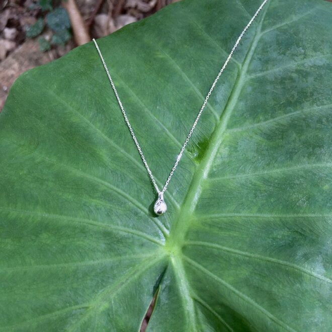 クワズイモの葉の上に雫型のシルバーネックレス