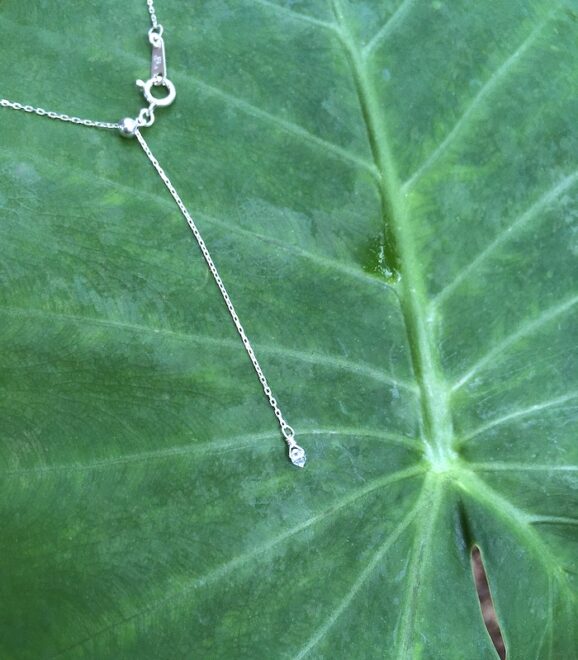 クワズイモの葉の上にシルバーネックレス
