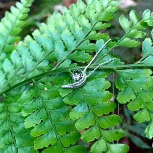 シダ  ーpteridophyteー（ネックレス）