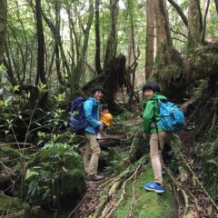 家族で森へ行ってきました