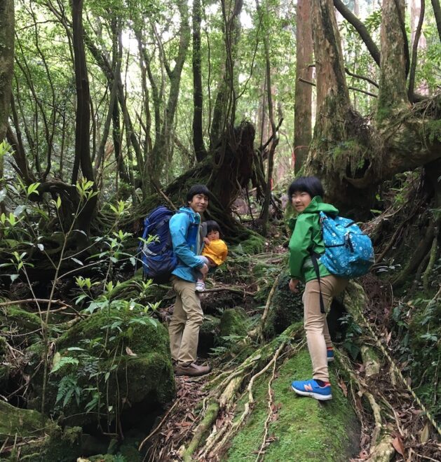 屋久島の森トレッキング