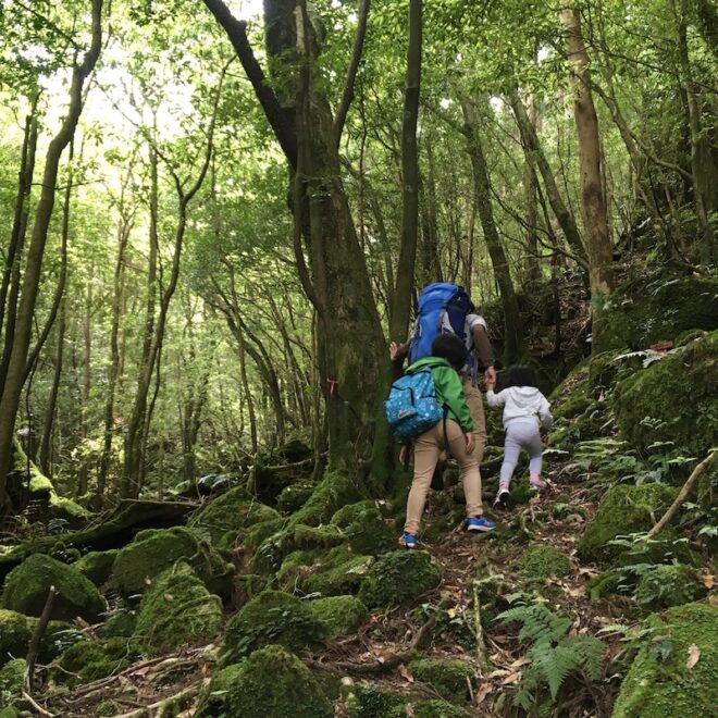 屋久島の森トレッキング