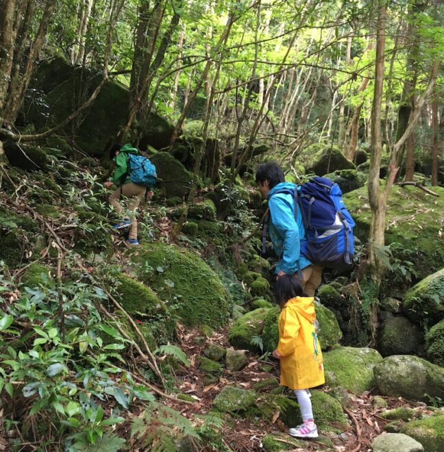 屋久島の森トレッキング