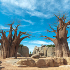 価格改定のお知らせ